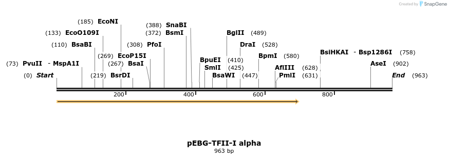 27971_map