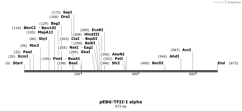 27972_map