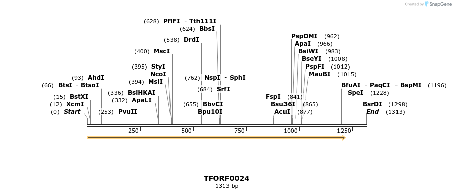279722_map
