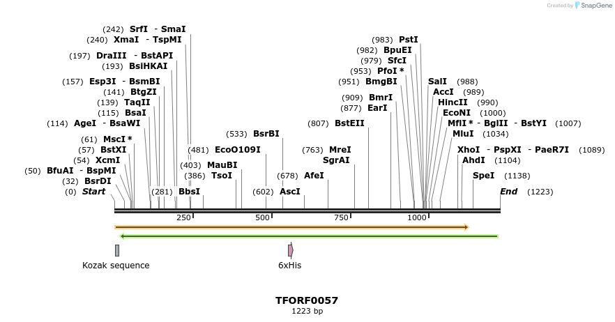 279728_map