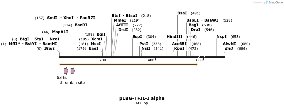 27973_map