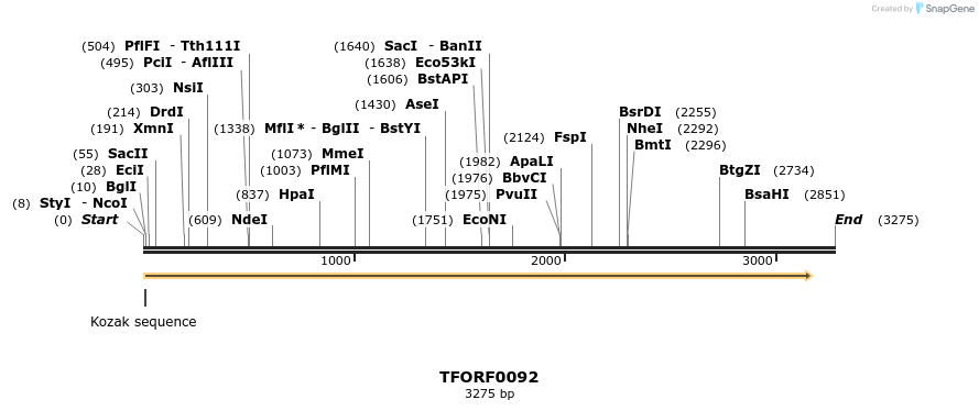 279737_map