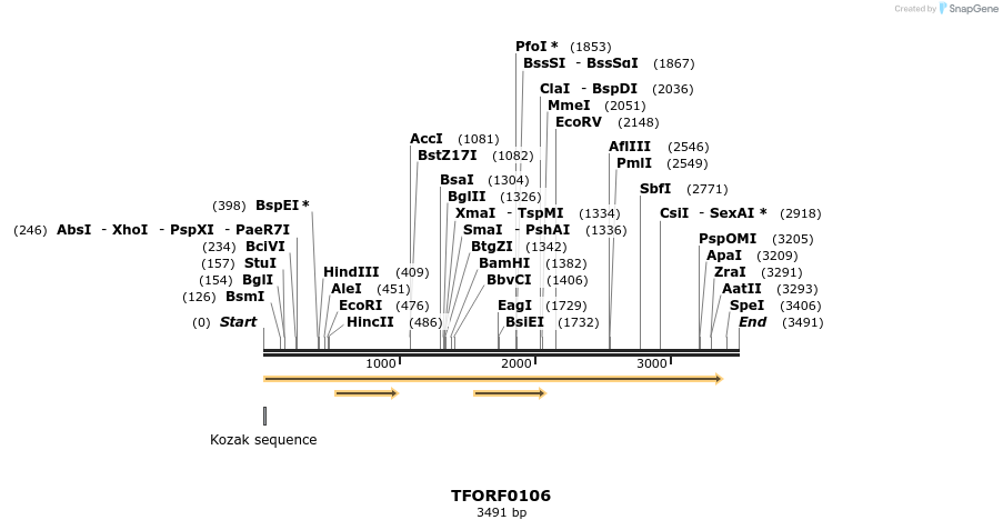 279746_map