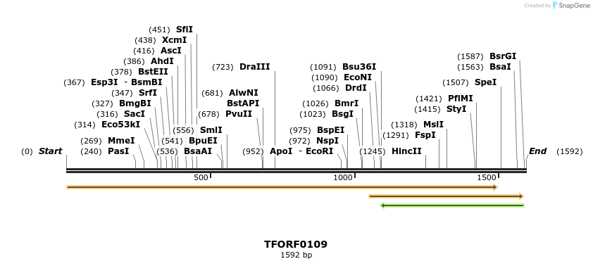 279749_map