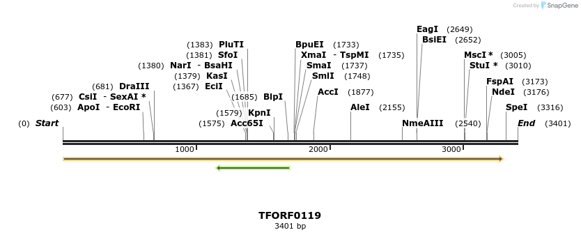 279752_map