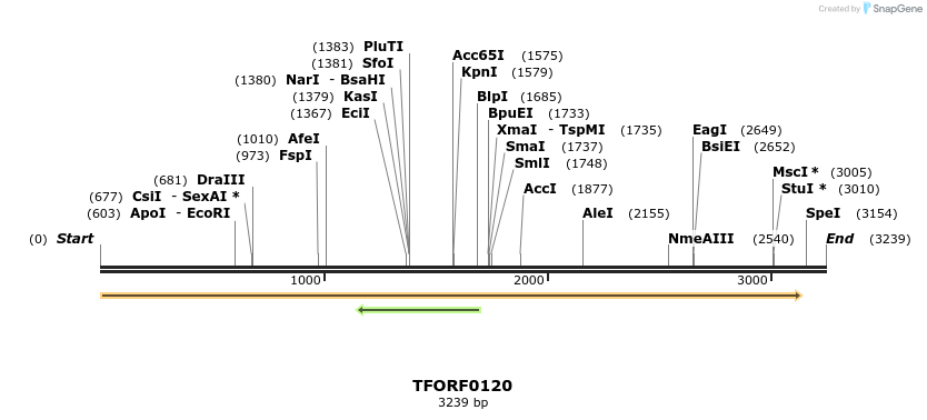 279755_map