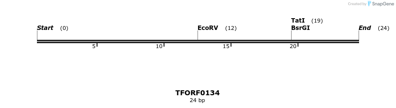 279762_map