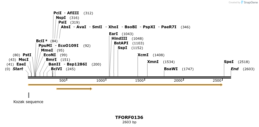 279764_map