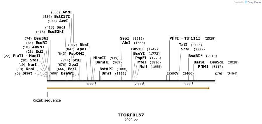 279767_map