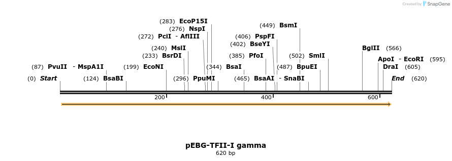 27977_map