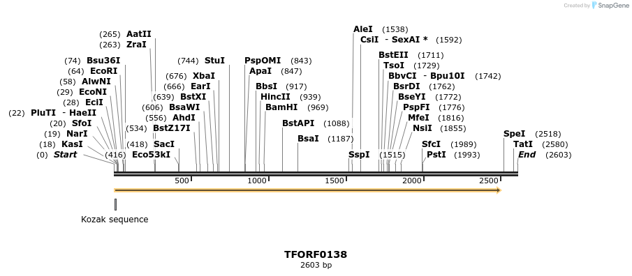 279770_map