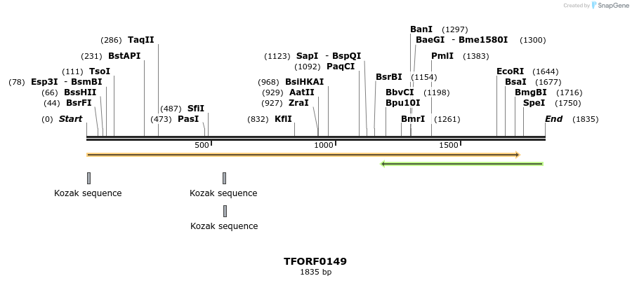 279773_map