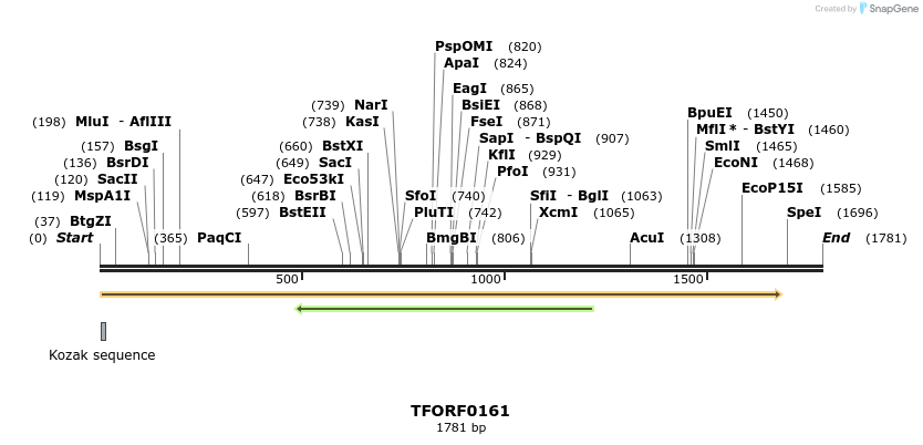 279776_map