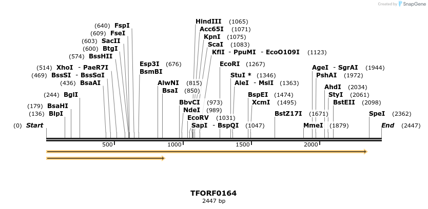 279779_map