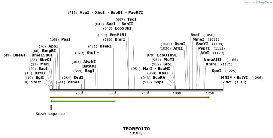 279785_map