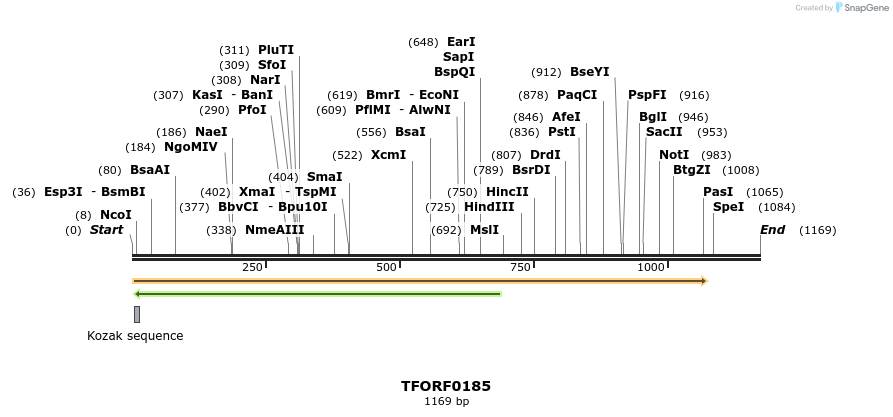 279794_map