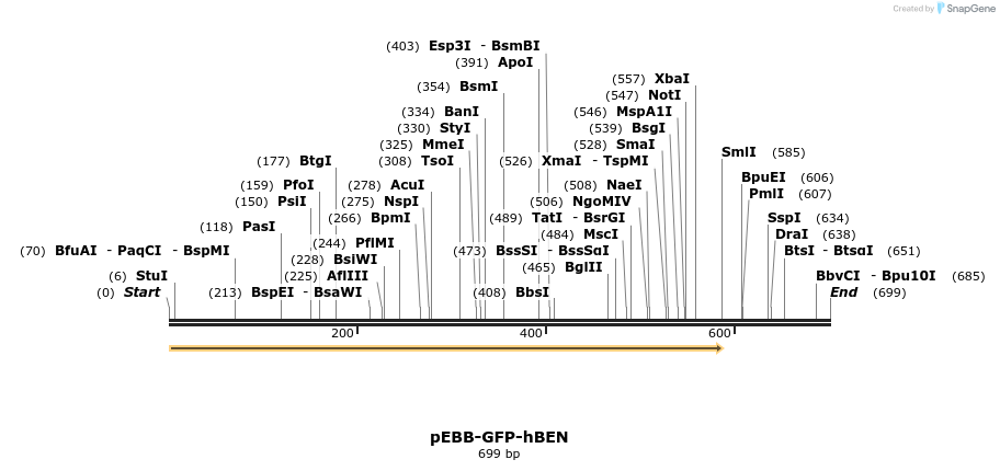 27980_map