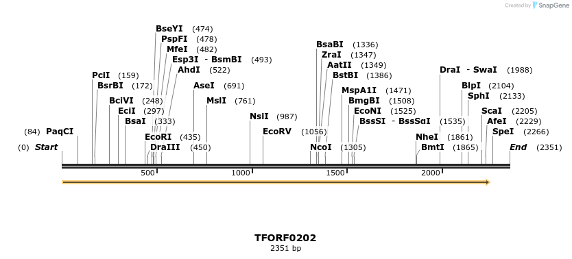 279803_map