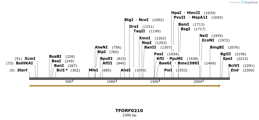 279809_map