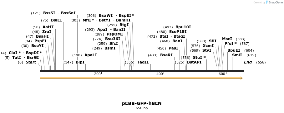 27981_map