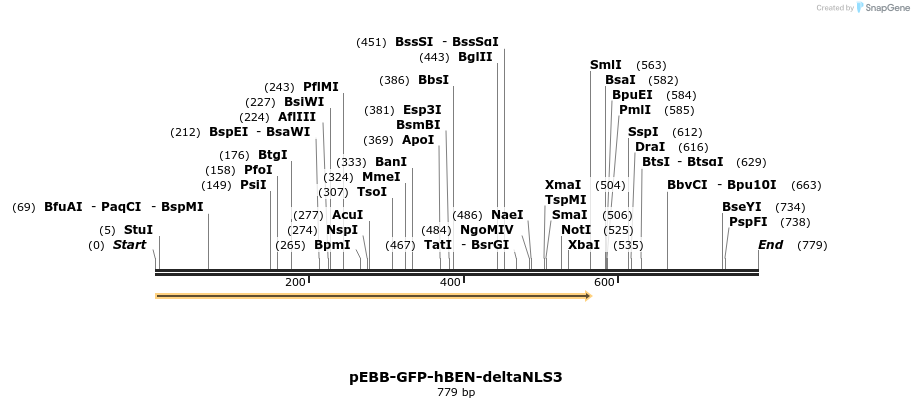 27982_map