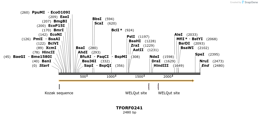 279842_map