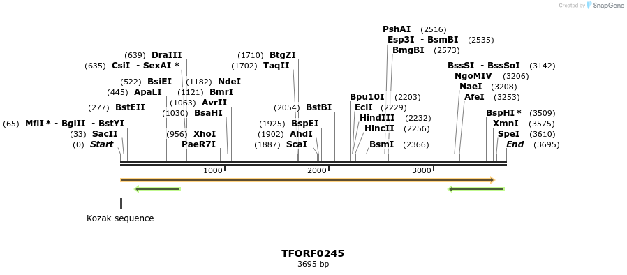 279845_map