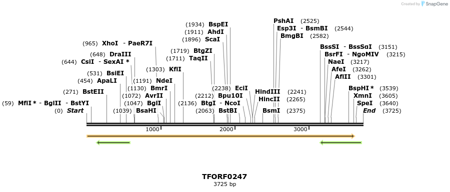 279851_map