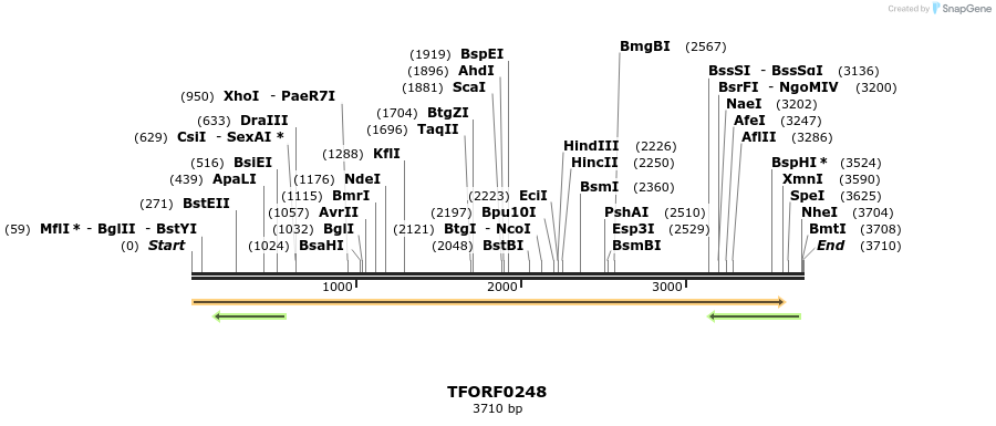 279854_map