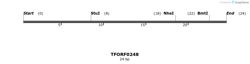 279855_map