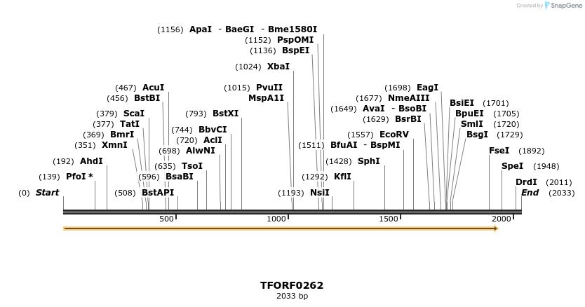 279866_map