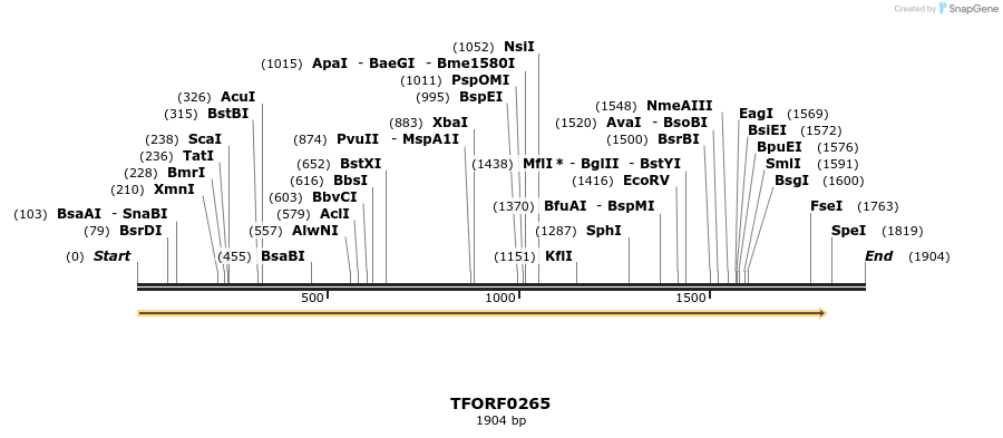279869_map