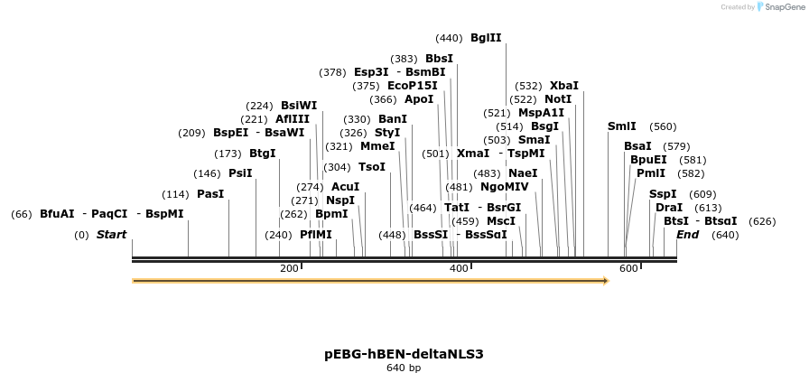 27987_map