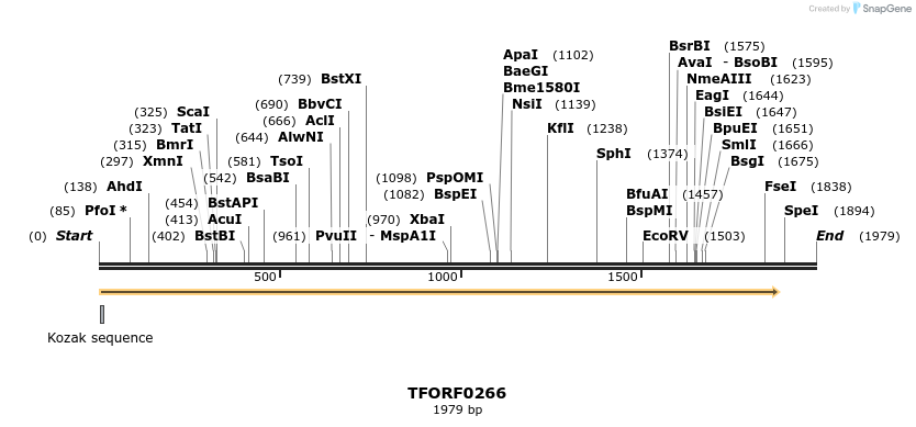 279872_map