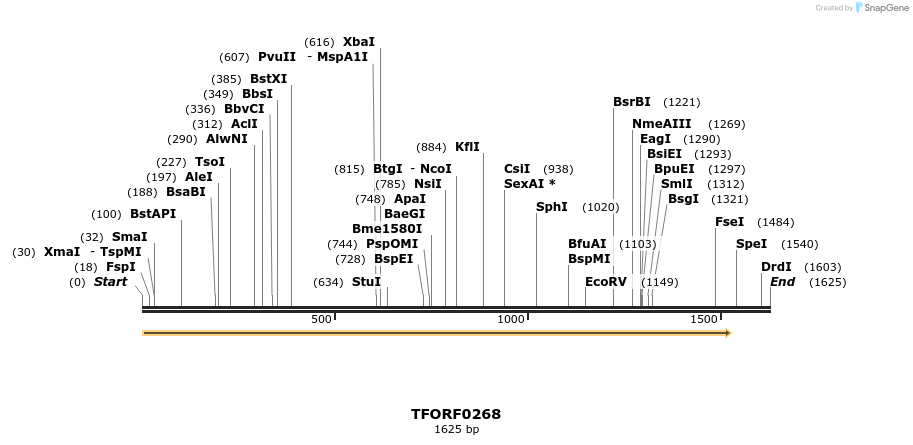 279875_map