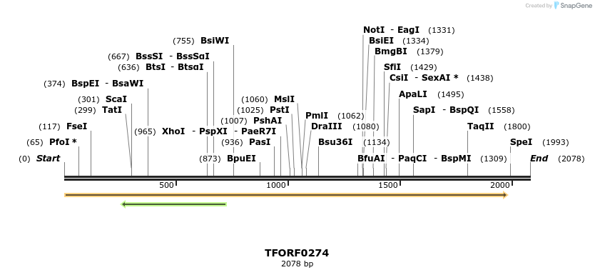 279881_map