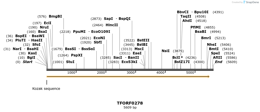 279890_map