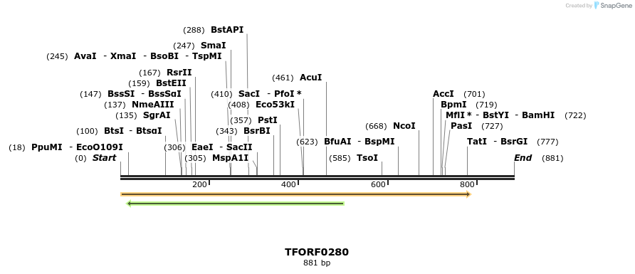 279893_map