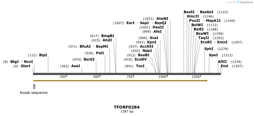 279896_map