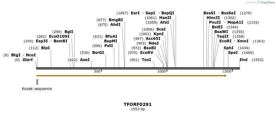 279899_map