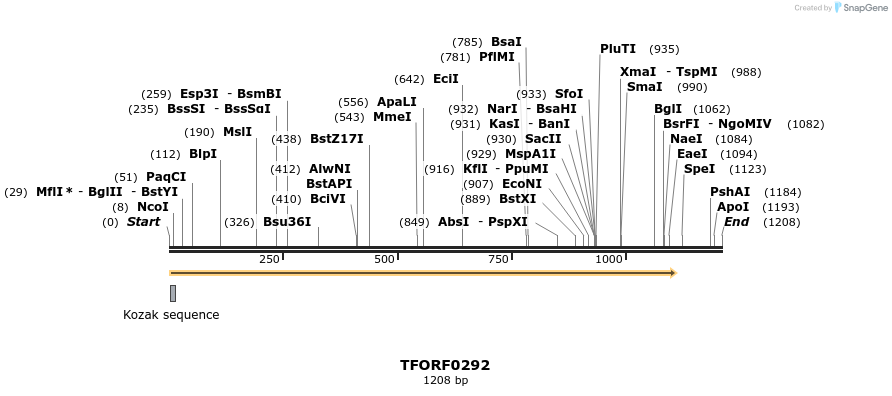 279902_map