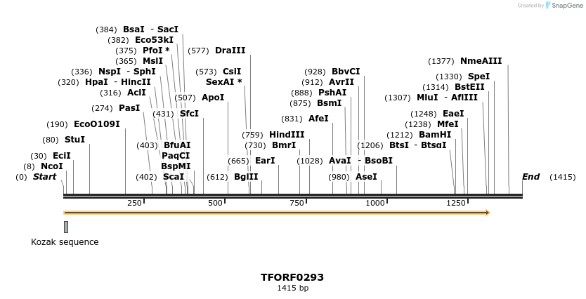 279905_map