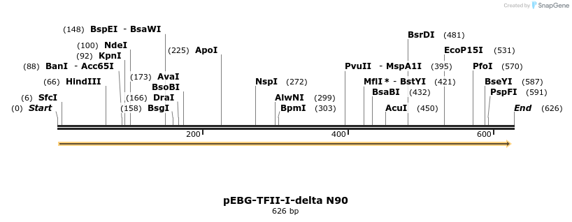 27991_map