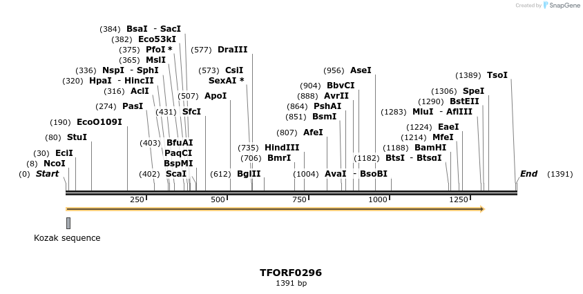 279914_map