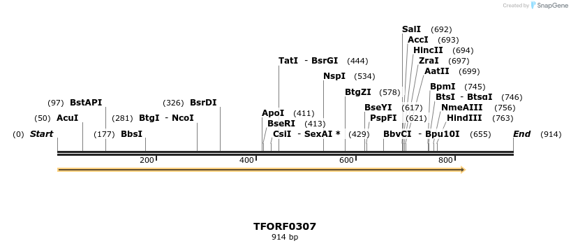 279917_map