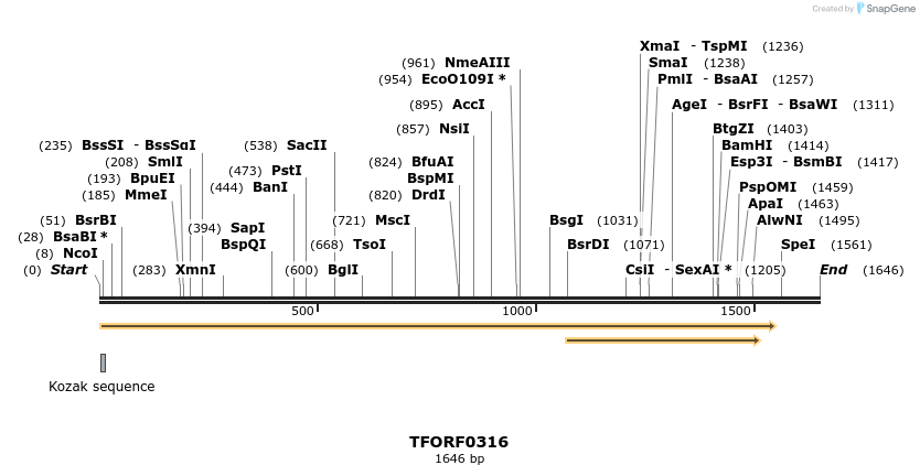 279920_map