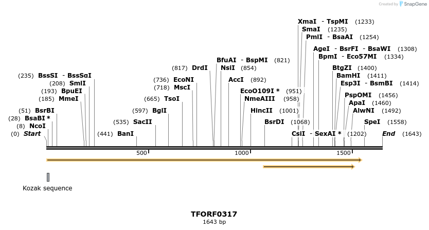 279923_map