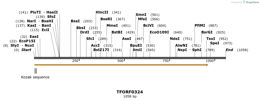 279926_map