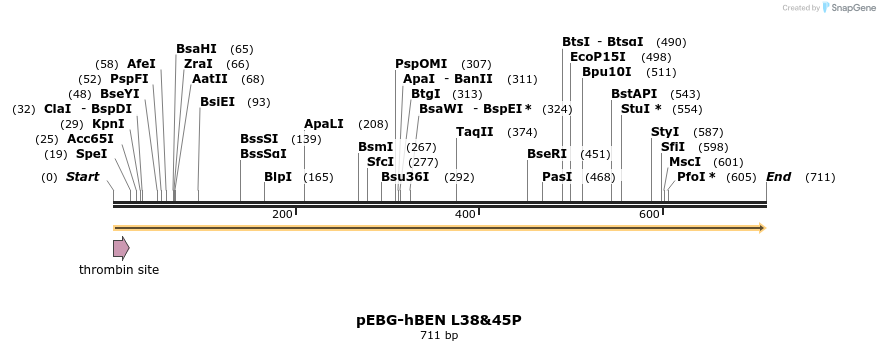 27993_map