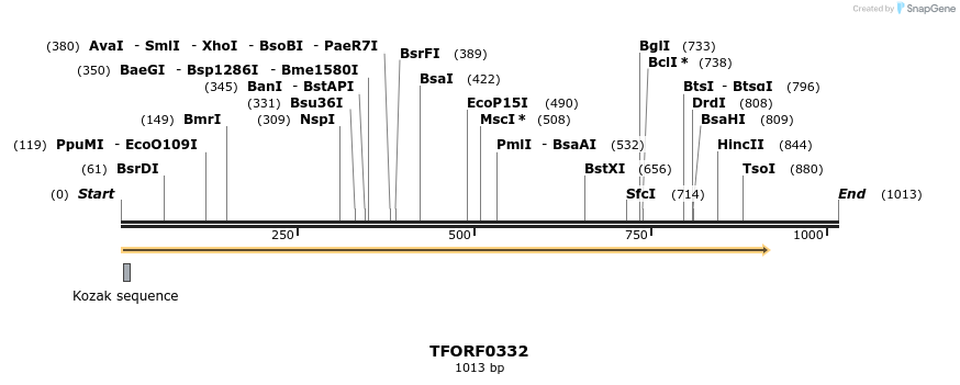 279935_map